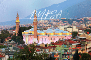 Bursa