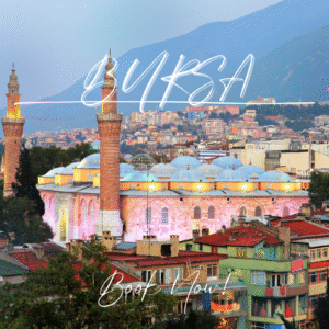 Bursa