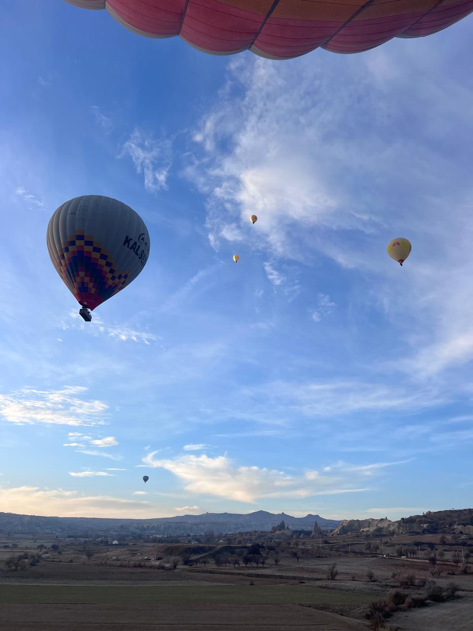 9657aed7-5d45-4323-b7f6-7c53065b6c02