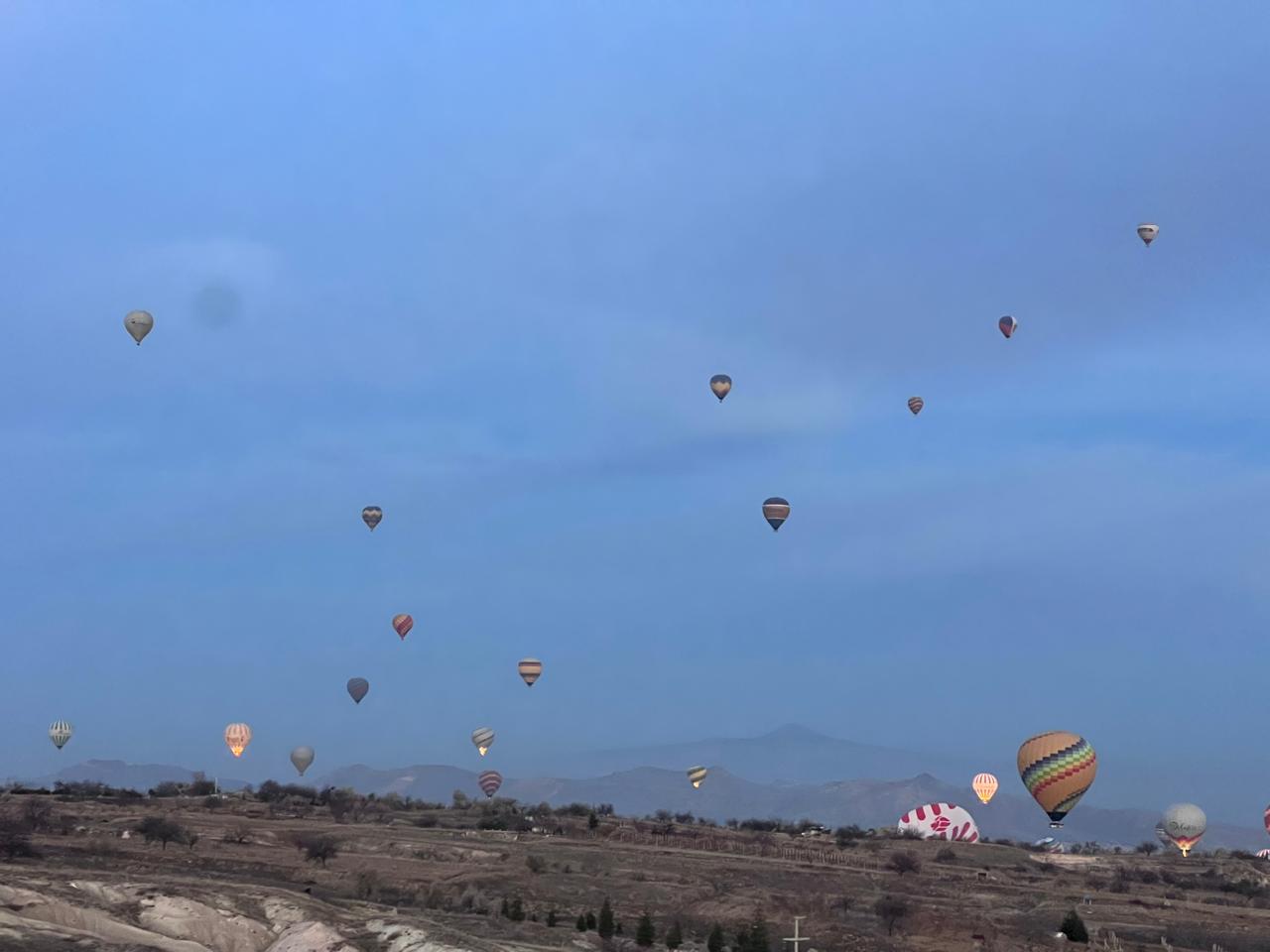 fdd3d13c-ddf7-4f55-9a63-cc88daf1f10d